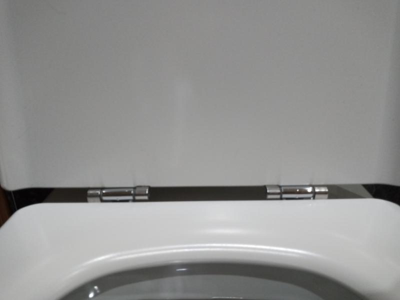 Juego de 2 bisagras tapa WC compatible con Roca para asiento Dama Senso y  Giralda desmontables 1 unidad, (No Dama) AI0002100r : : Bricolaje  y herramientas