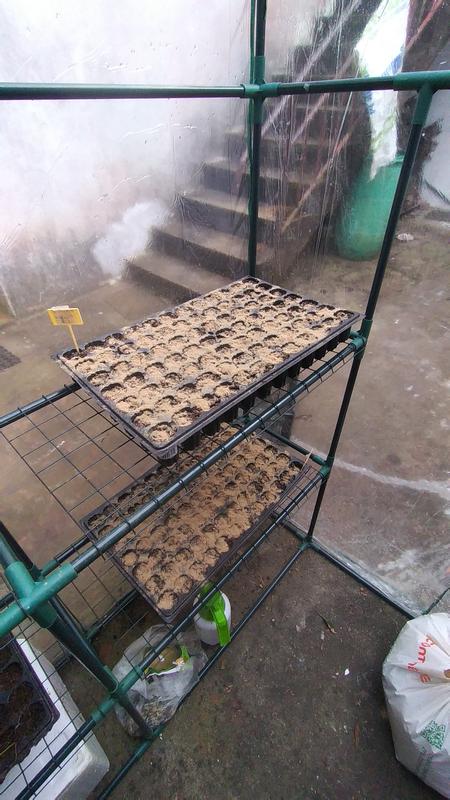 Abra o modal de avaliação 5 de 6