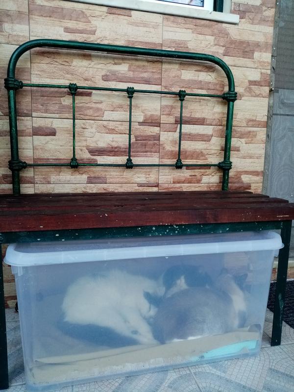 Abra o modal de avaliação 1 de 1