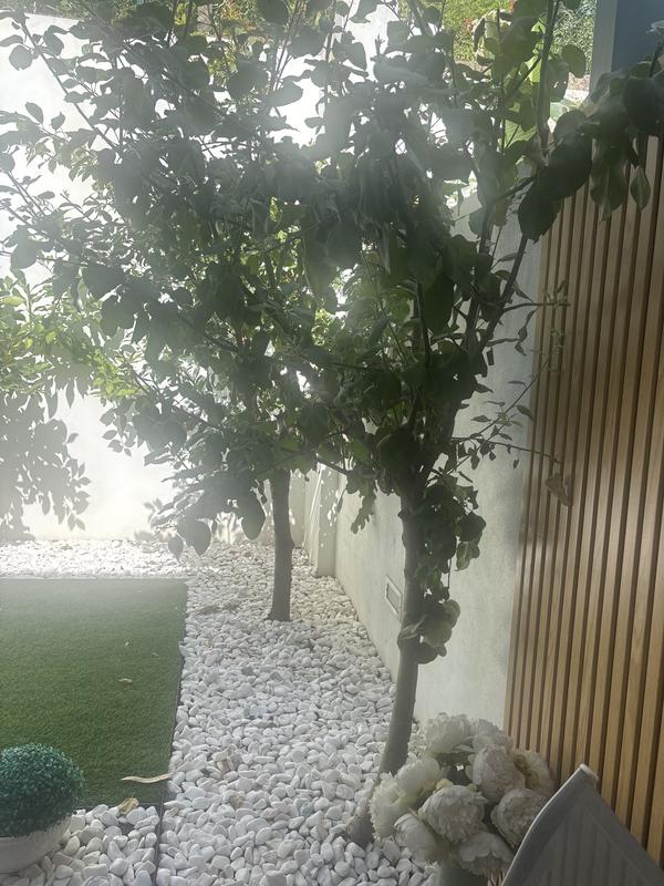 Abra o modal de avaliação 1 de 1