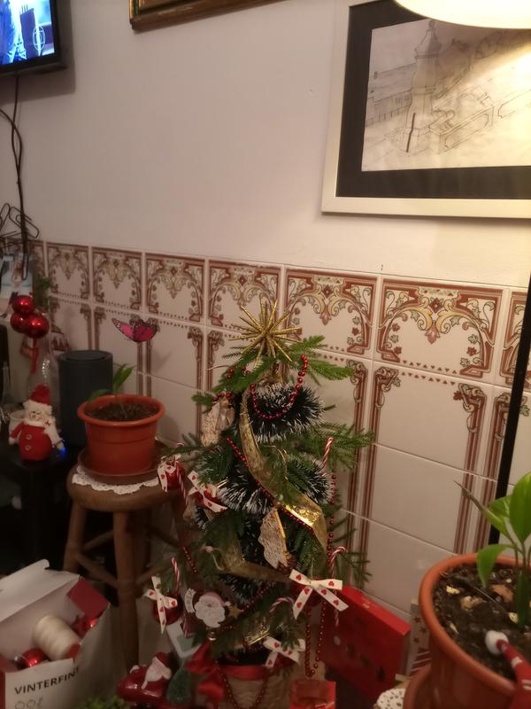 Abra o modal de avaliação 1 de 1