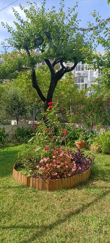 Abrir modal de revisión 1 de 2