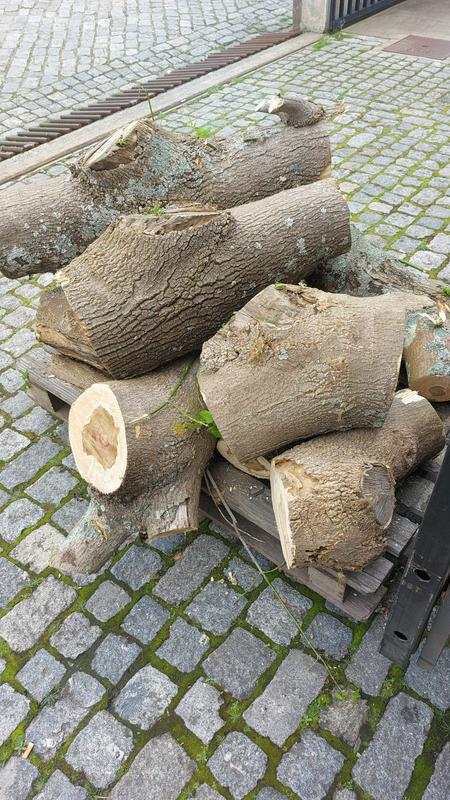 Revisione aperta modale 1 su 1