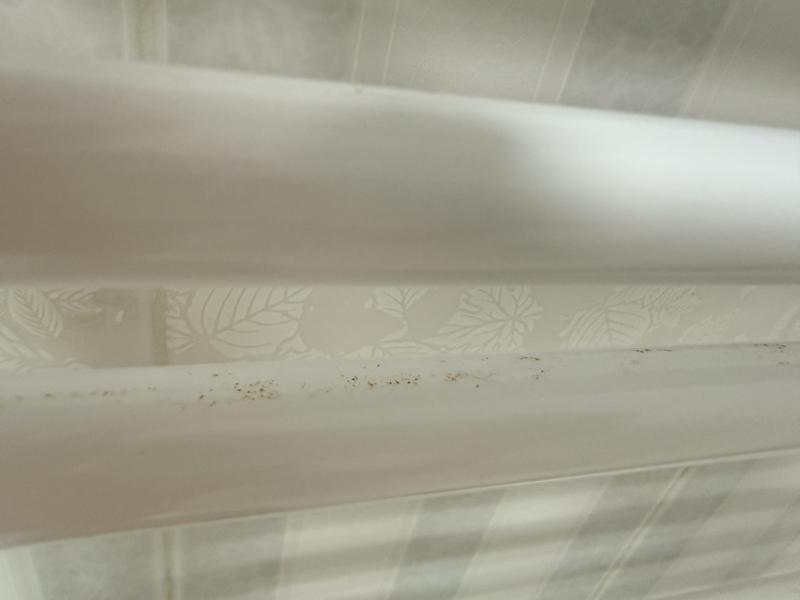 Revisione aperta modale 1 su 2