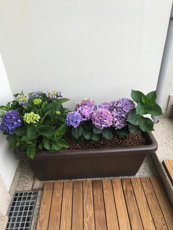 Abra o modal de avaliação 1 de 1