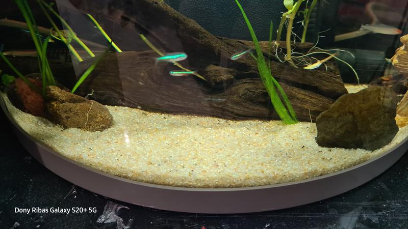 Abrir modal de revisión 1 de 1