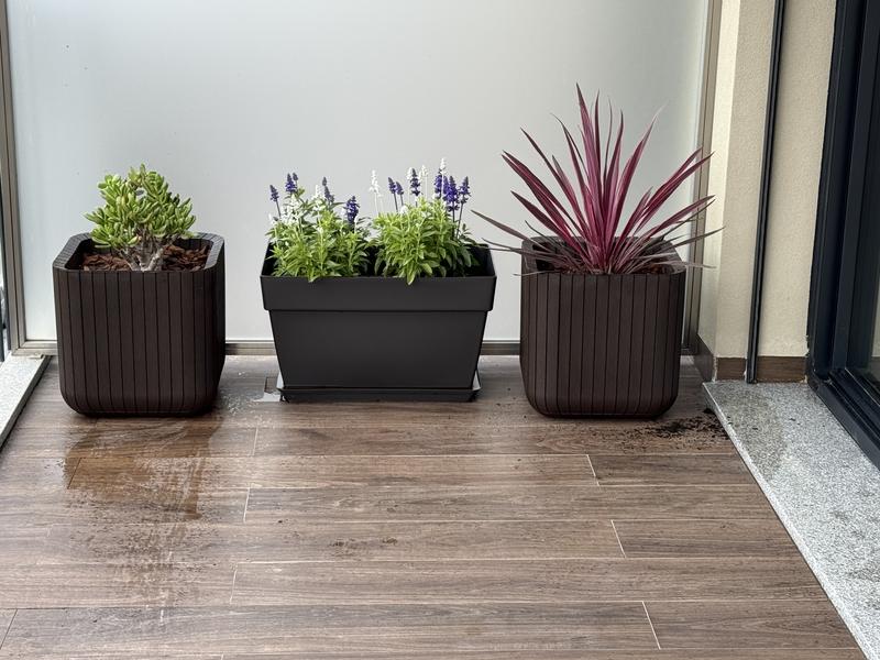 Abrir modal de revisión 1 de 1