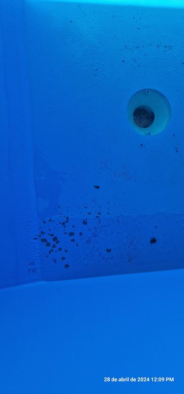 Abrir modal de revisión 1 de 3