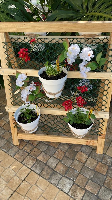 Abrir modal de revisión 1 de 1