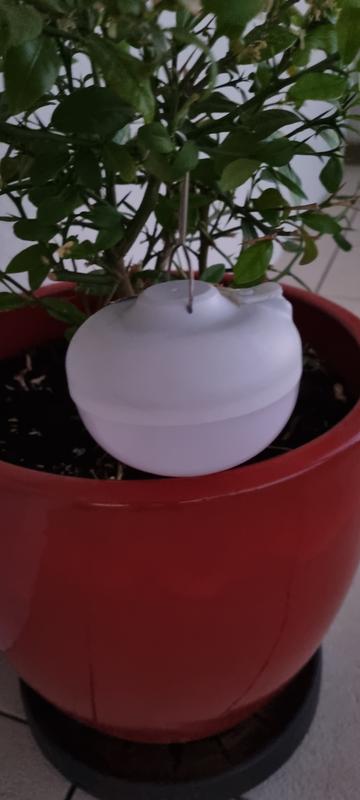 Abra o modal de avaliação 1 de 1