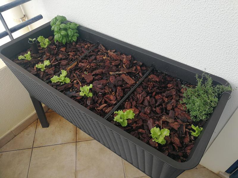 Abra o modal de avaliação 1 de 1