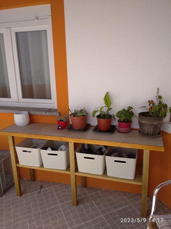 Abra o modal de avaliação 1 de 1