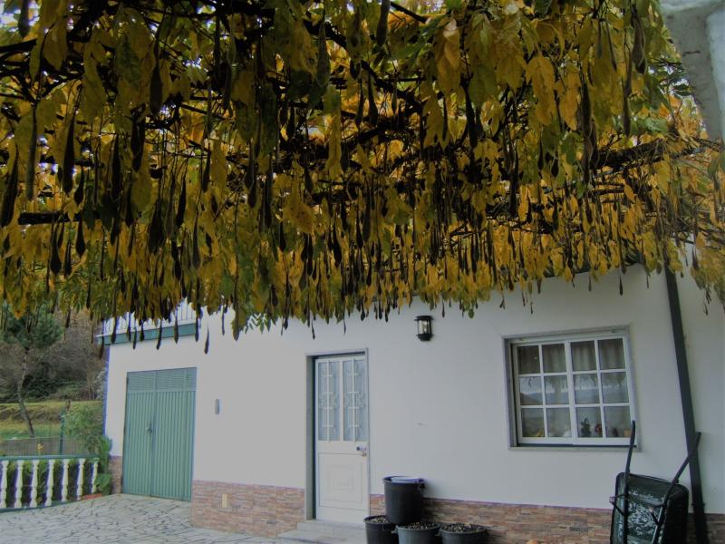 Abra o modal de avaliação 1 de 1