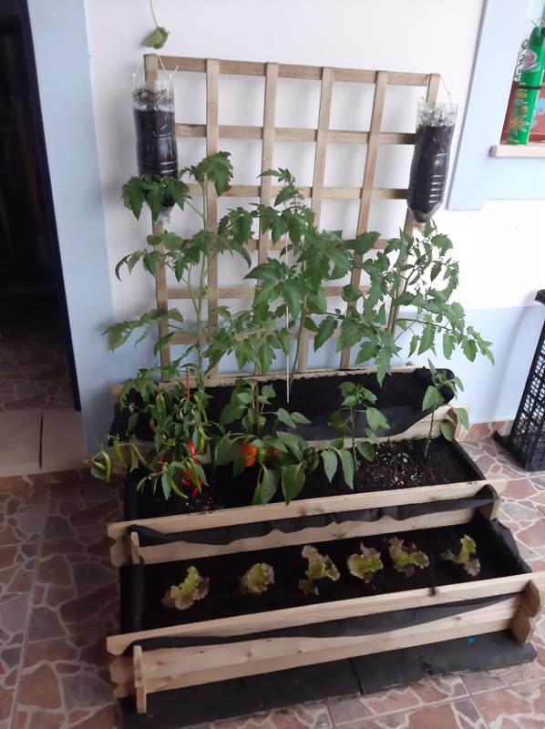 Abrir modal de revisión 1 de 1