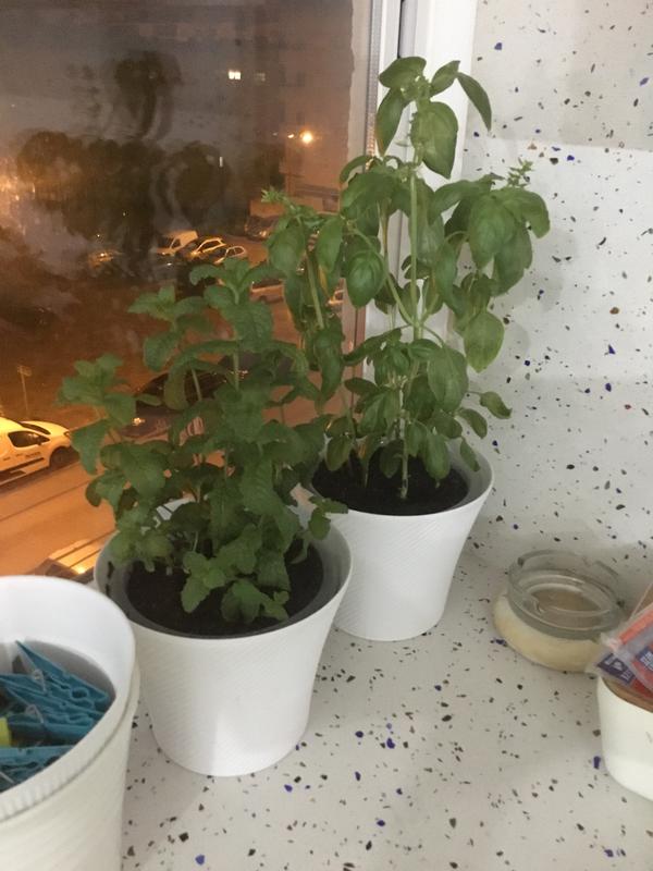 Abra o modal de avaliação 1 de 1