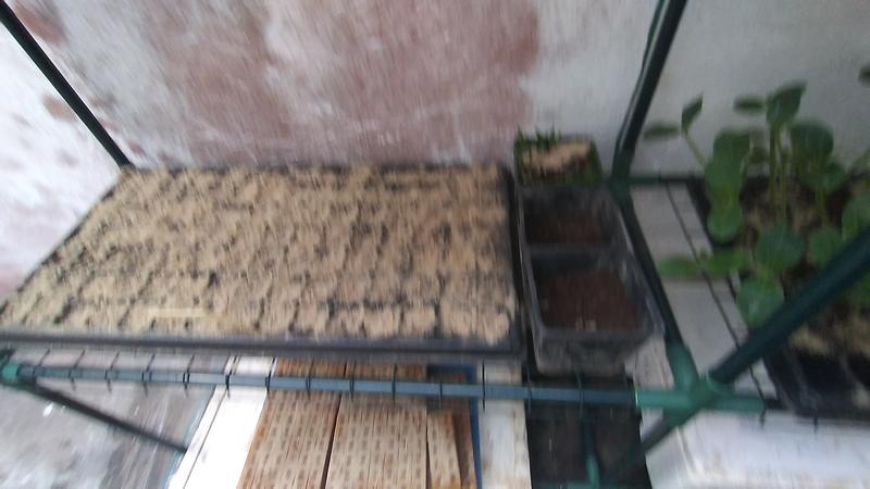 Abra o modal de avaliação 2 de 6