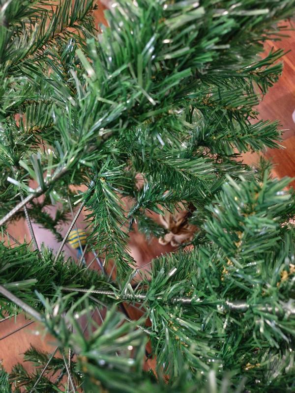 Abrir modal de revisión 3 de 6