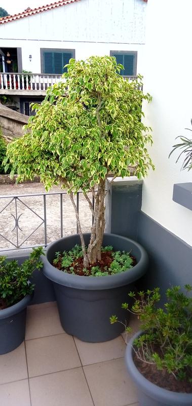 Abra o modal de avaliação 1 de 1