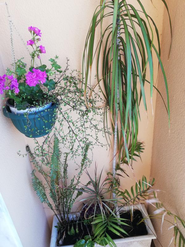 Ouvrir la fenêtre modale de l'avis 1 sur 1