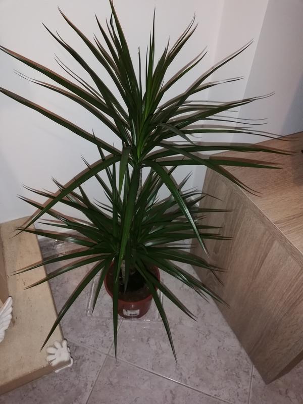 Abra o modal de avaliação 1 de 1