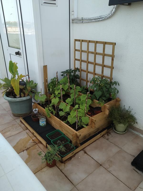 Abrir modal de revisión 1 de 1