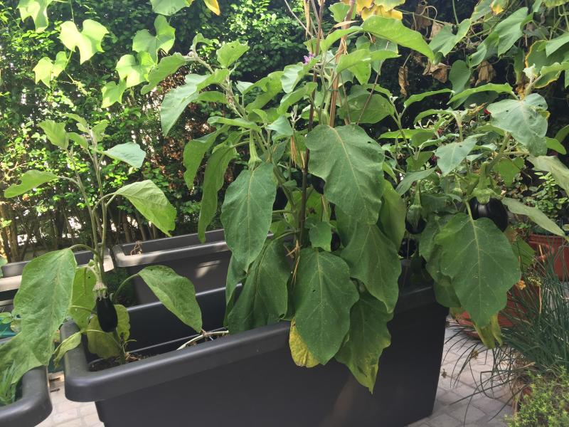 Abra o modal de avaliação 1 de 3