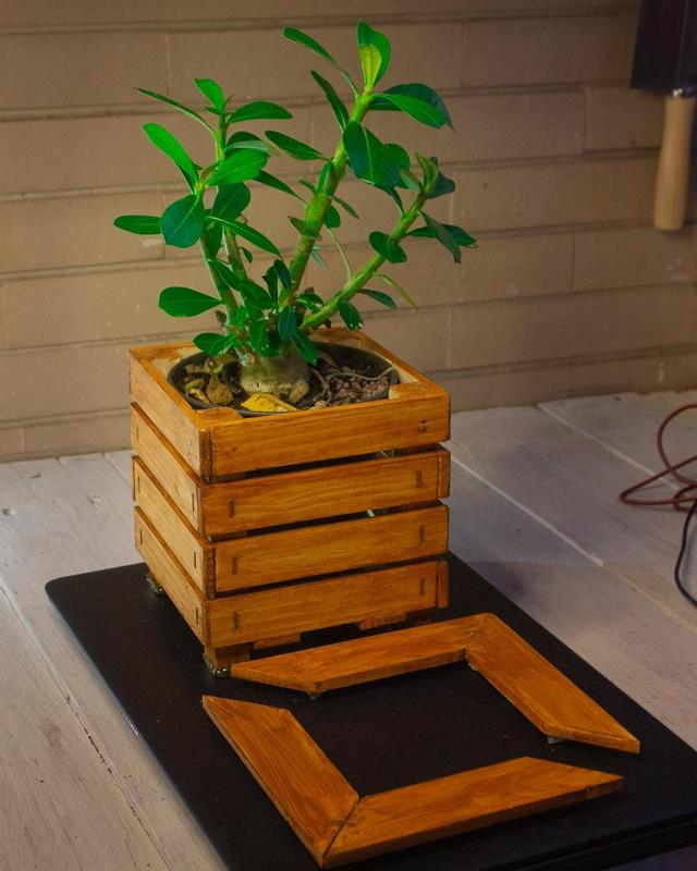 Abra o modal de avaliação 1 de 2