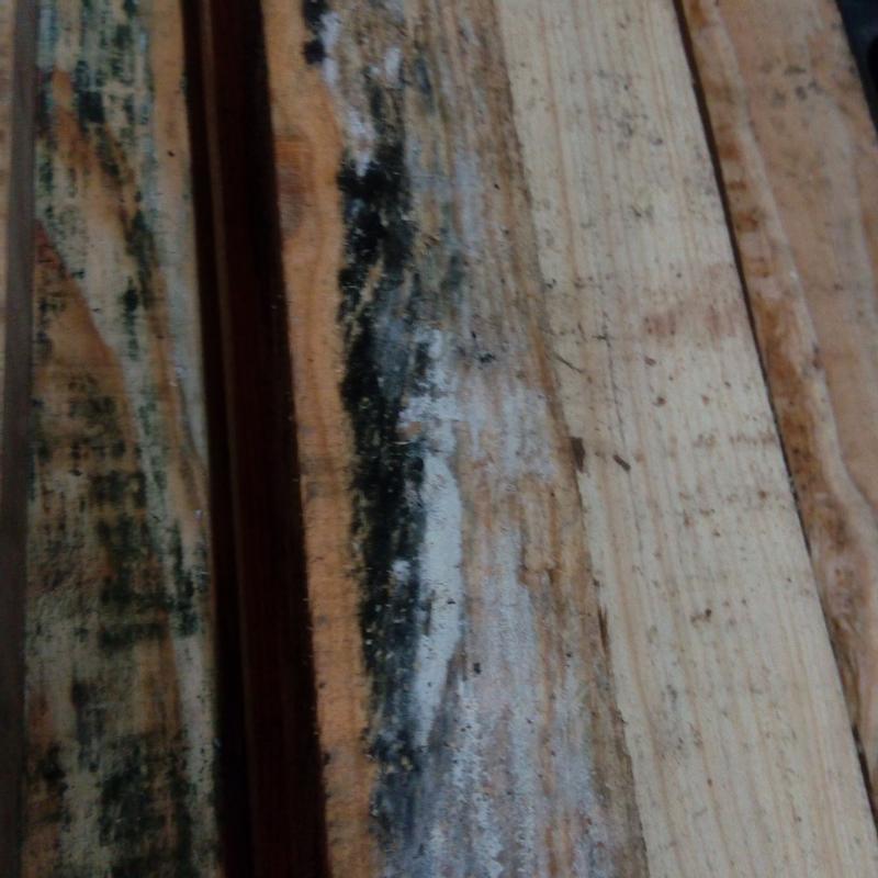 Abra o modal de avaliação 1 de 2