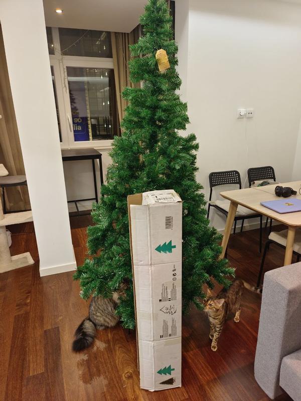 Abrir modal de revisión 1 de 6