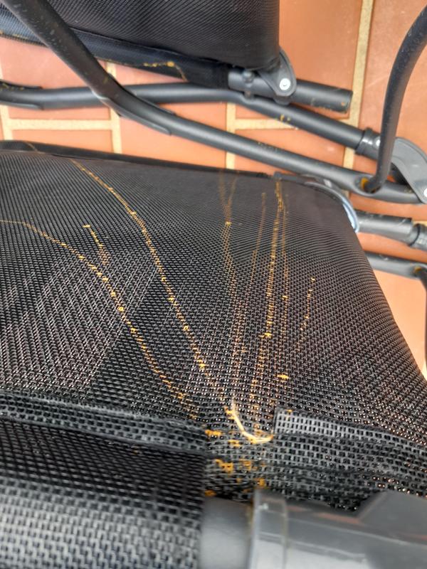 Ouvrir la fenêtre modale de l'avis 1 sur 1