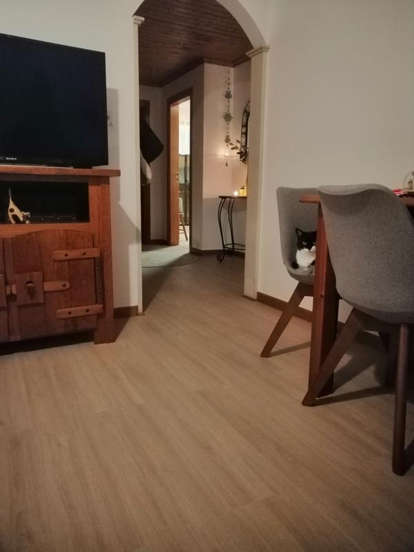 Abra o modal de avaliação 1 de 1