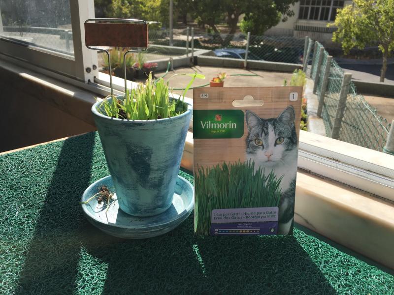 Abra o modal de avaliação 1 de 2