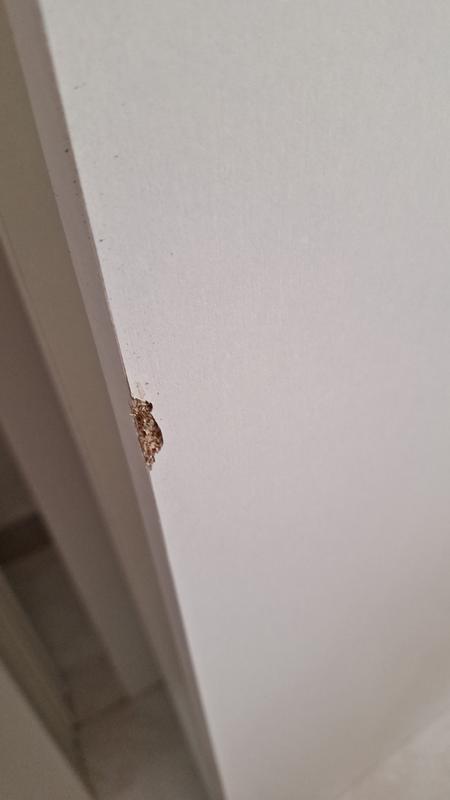 Abra o modal de avaliação 3 de 5