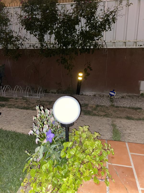 Revisione aperta modale 1 su 1