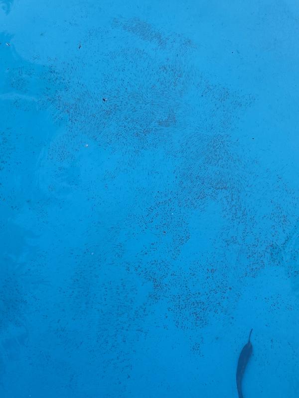 Abrir modal de revisión 1 de 1