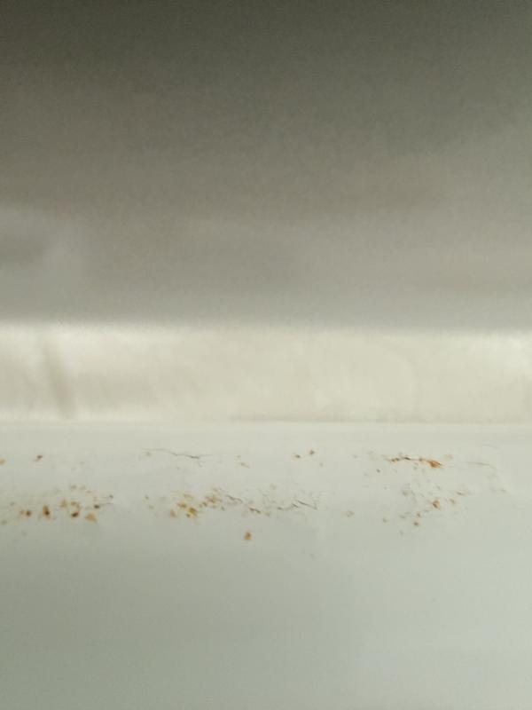 Revisione aperta modale 2 su 2