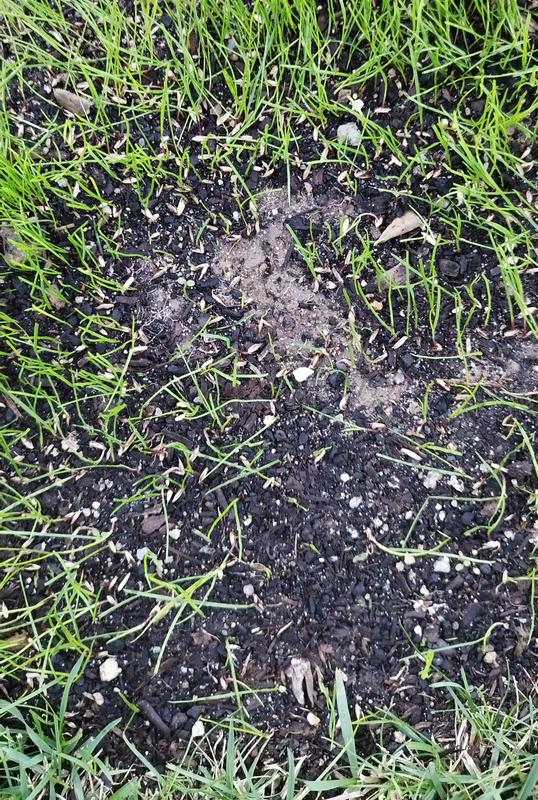 Abra o modal de avaliação 1 de 1