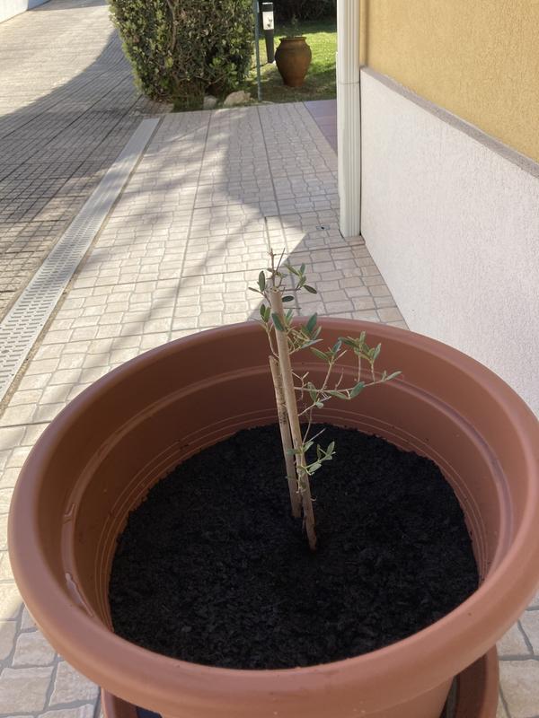 Abra o modal de avaliação 1 de 1