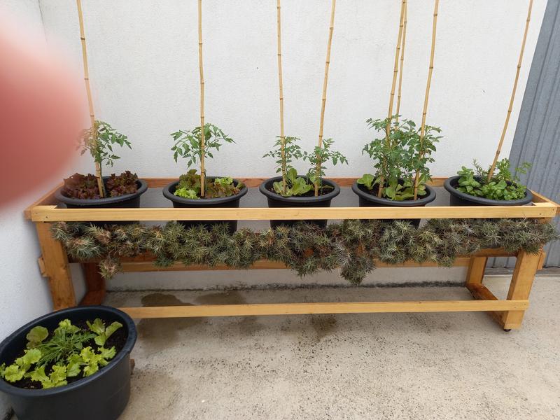 Abra o modal de avaliação 1 de 1