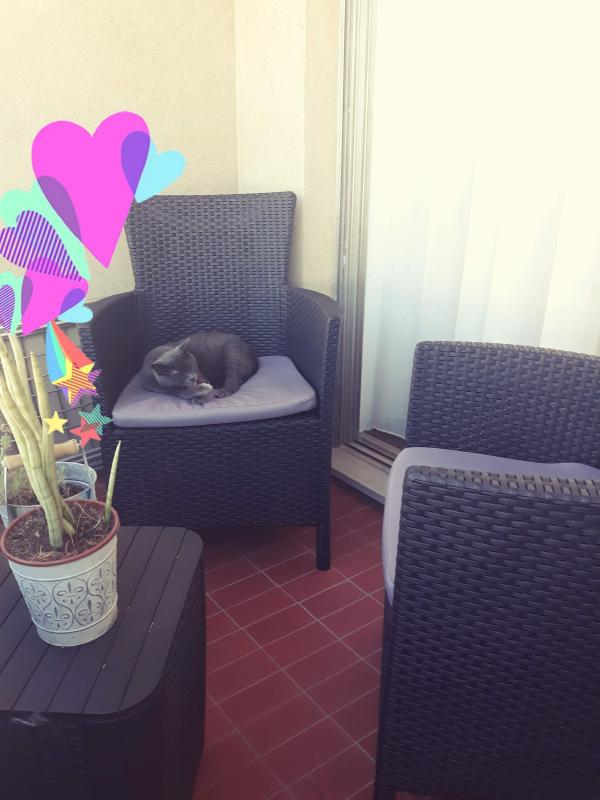 Abra o modal de avaliação 1 de 1