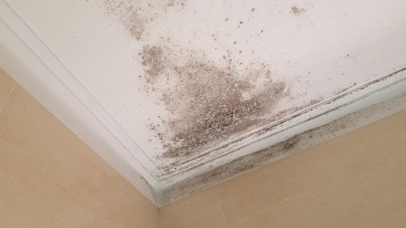 Abra o modal de avaliação 1 de 2