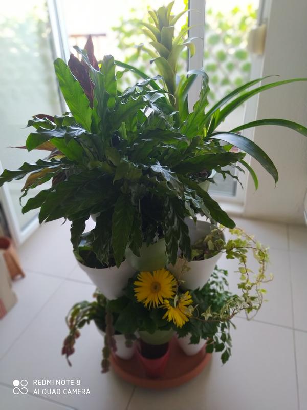 Abra o modal de avaliação 1 de 1