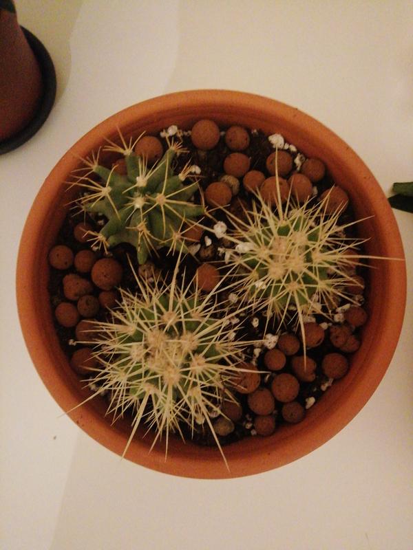 Abra o modal de avaliação 1 de 1