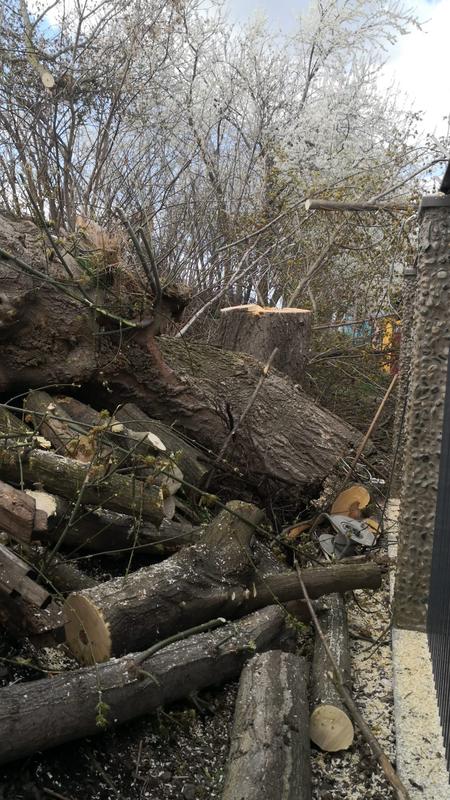 Revisione aperta modale 3 su 3