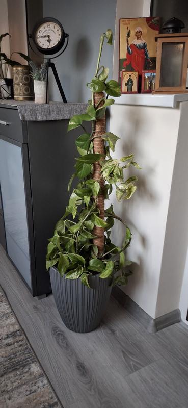 Ouvrir la fenêtre modale de l'avis 2 sur 2