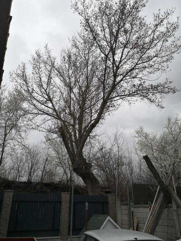 Revisione aperta modale 1 su 3