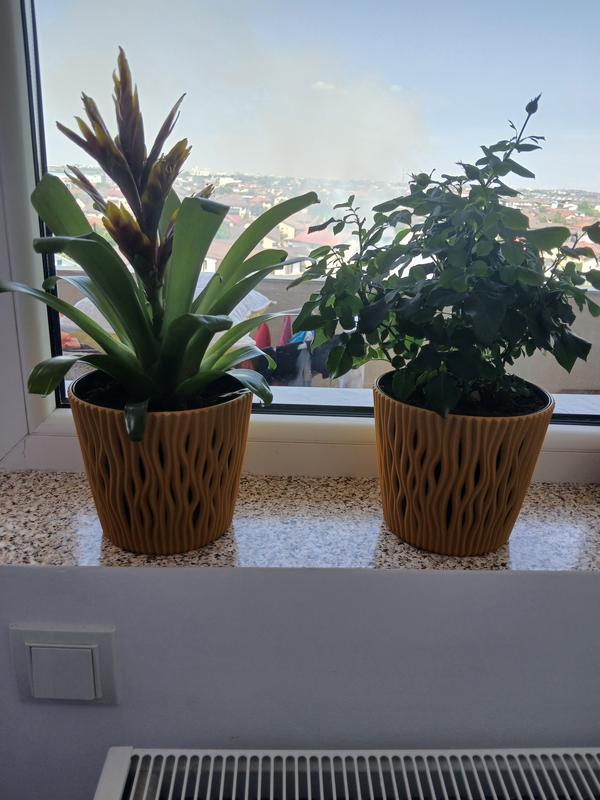 Flowerpot Di Plastica Rotondo Coubi Rotondo P In Crema Colore 24