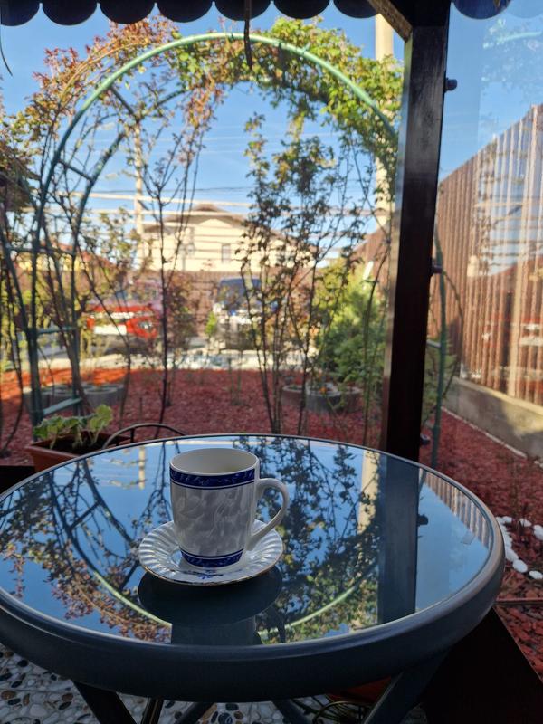 Ouvrir la fenêtre modale de l'avis 1 sur 1