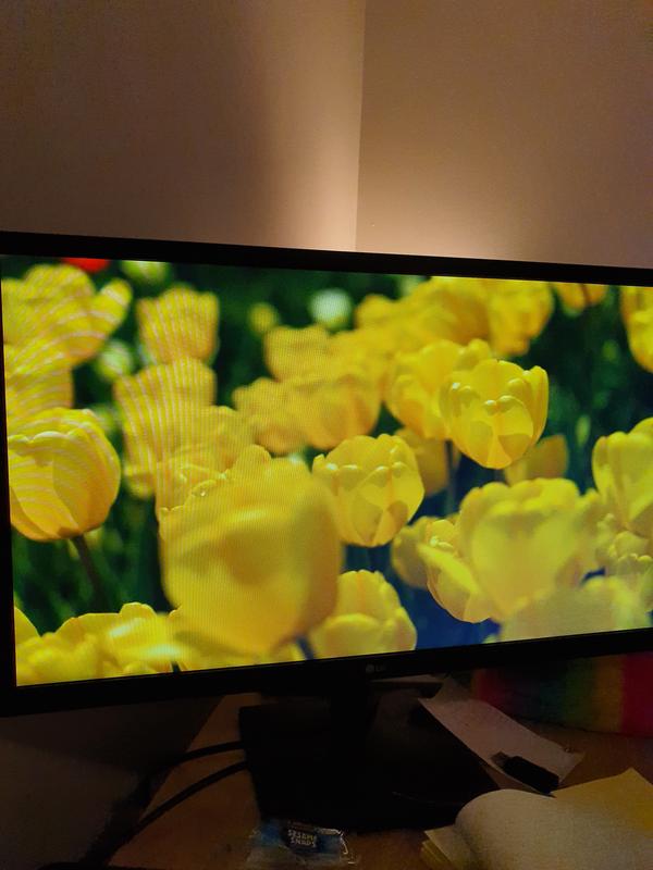 Değerlendirme fotoğrafı 4.