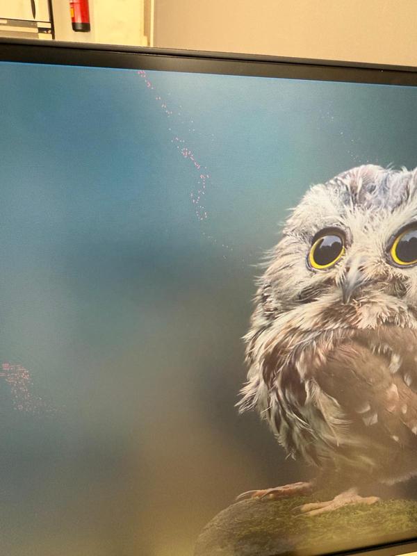 Ouvrir la fenêtre modale de l'avis 4 sur 5